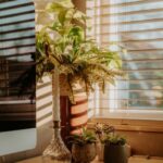 Tips for Creating a Cozy and Inviting Home Workspace
